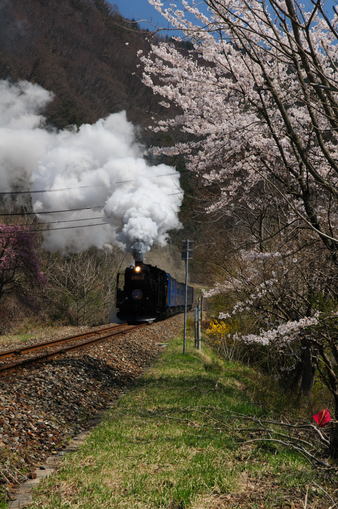 SL銀河　桜バージョン　その２