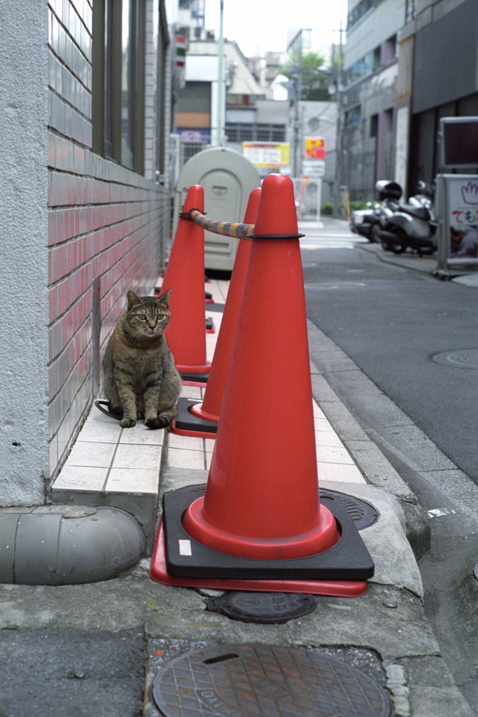 カラーコーン