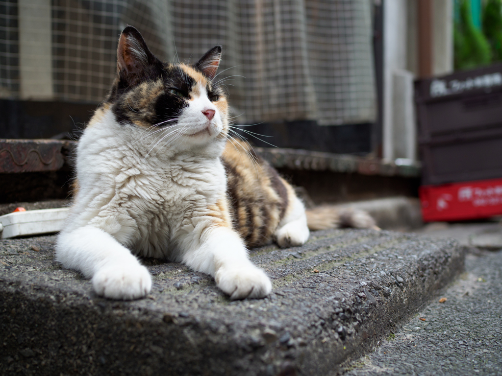ちょっと上向き
