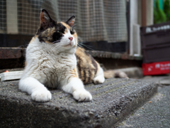 ちょっと上向き