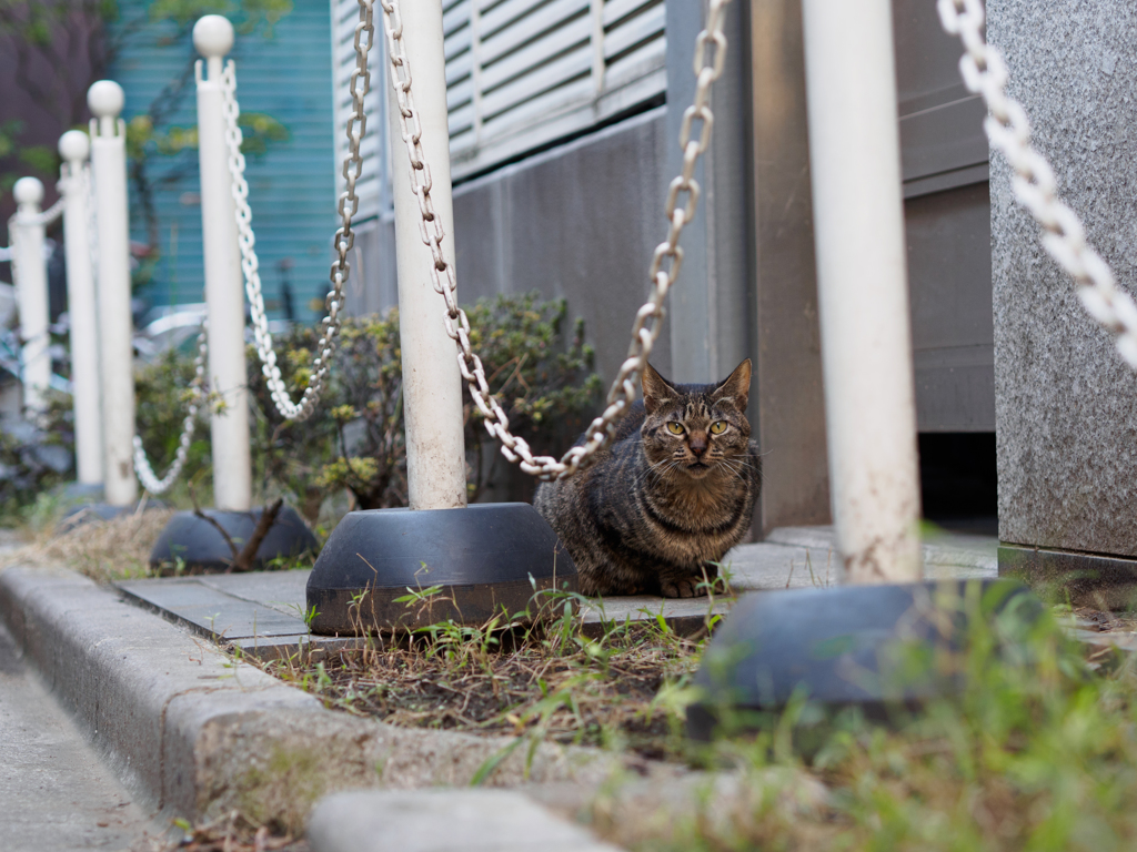 千代田区の連中１