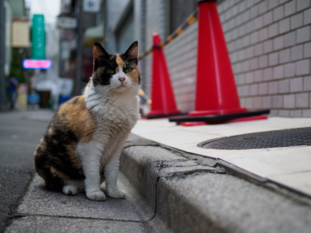 いつもの場所で
