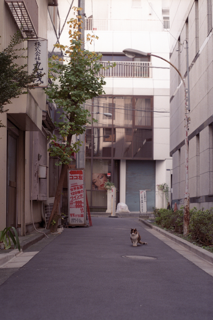 ぽつん