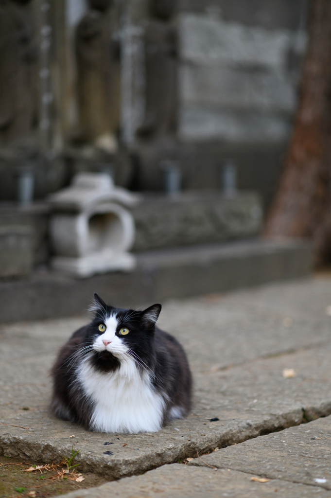 上向き