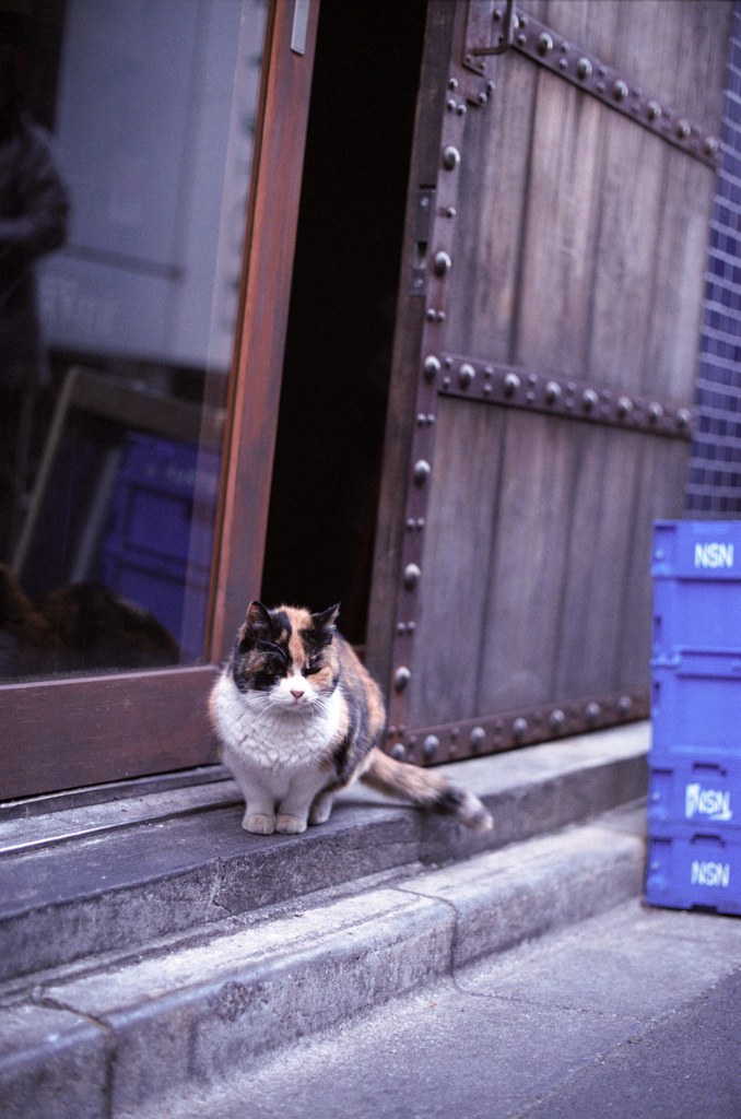 最後のミーさん