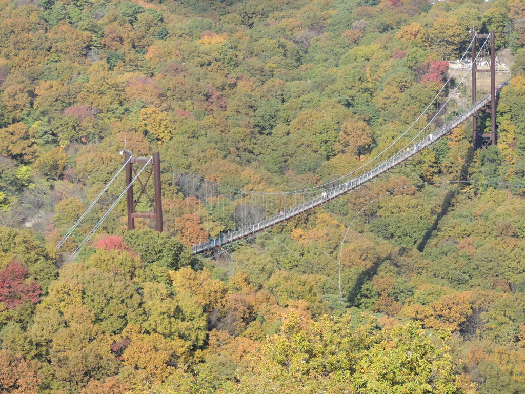 吊橋と紅葉