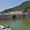 鳩も見惚れる水掘