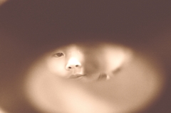eyes