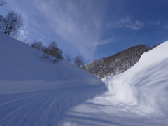 雪道中