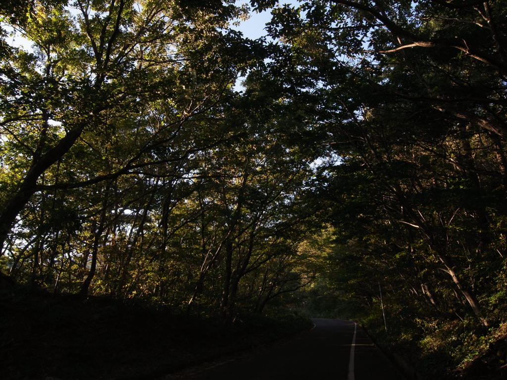 林道