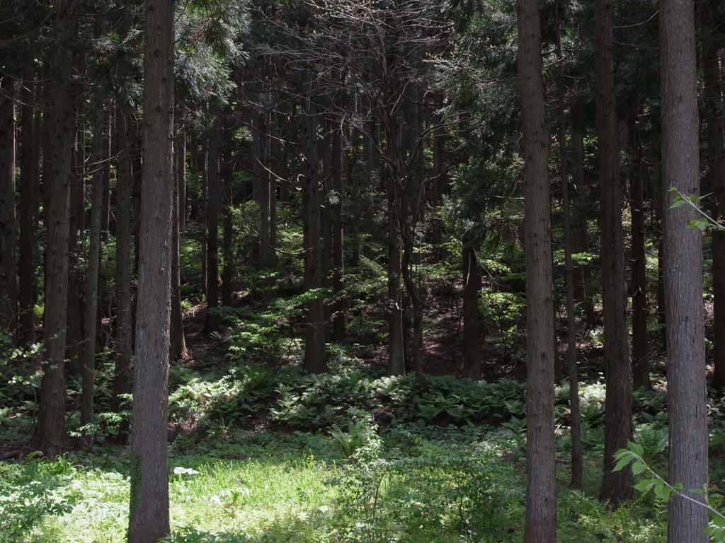 深
