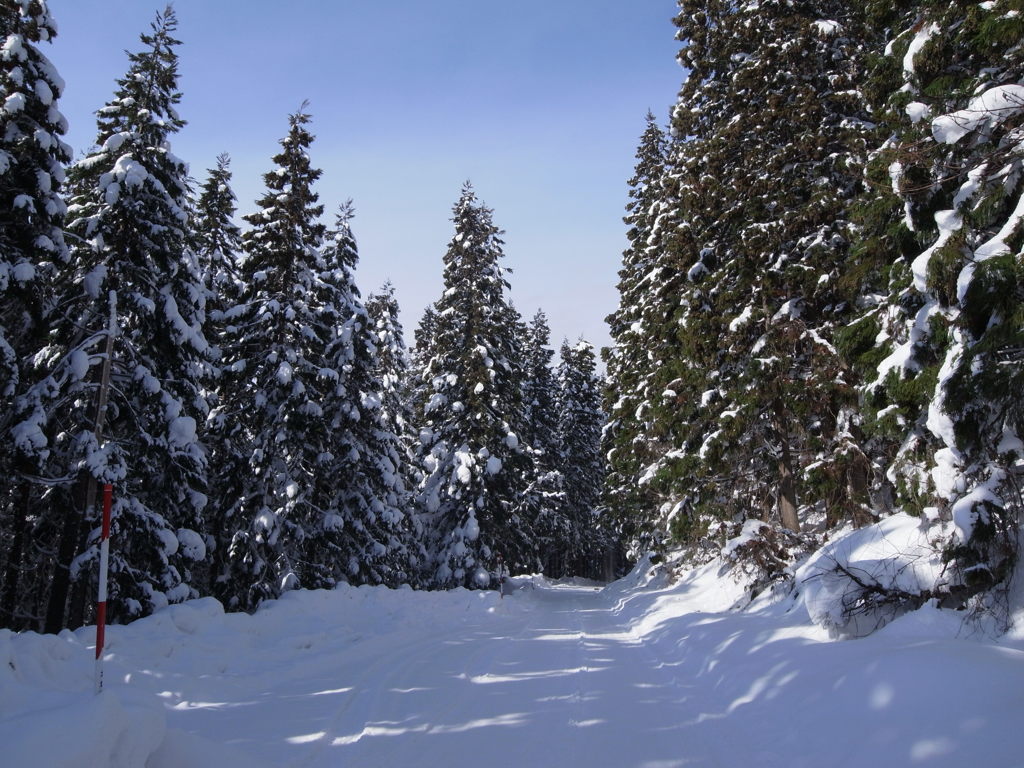 雪道中