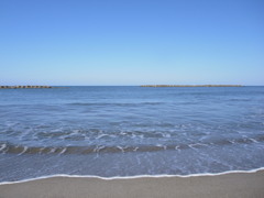 海