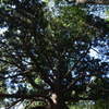 Photoｓ