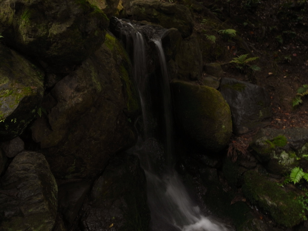 Photoｓ
