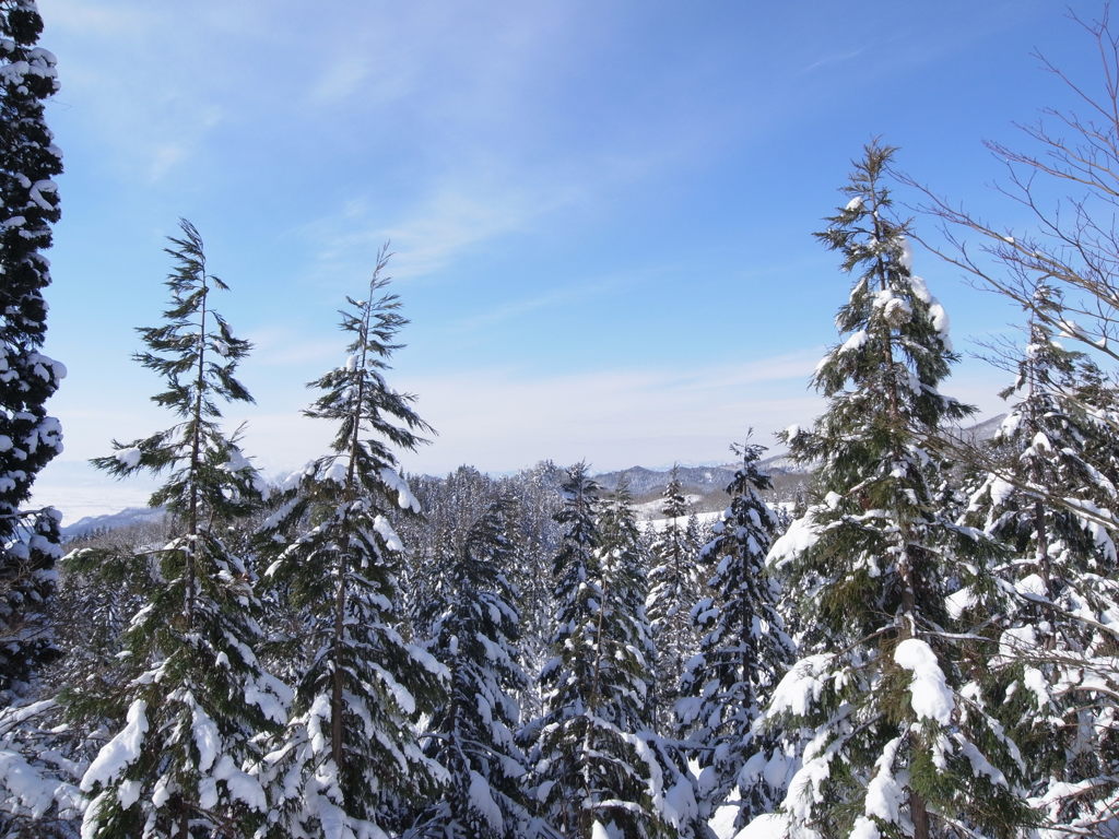 雪道中