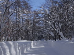 雪道