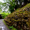 西山時雨【愛宕念仏寺】