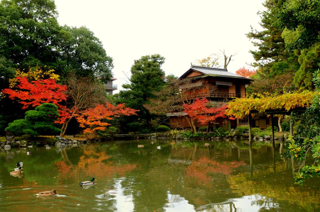 去年の京紅葉２