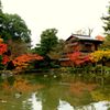 去年の京紅葉２