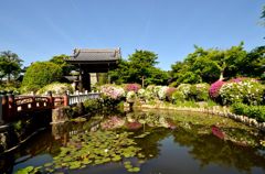 浄土への門前【妙満寺】