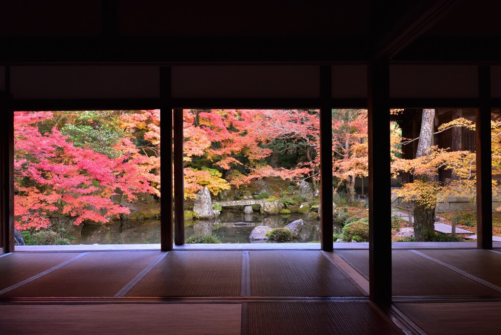 洛北の錦秋【蓮華寺】