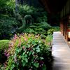 訪秋の三千院