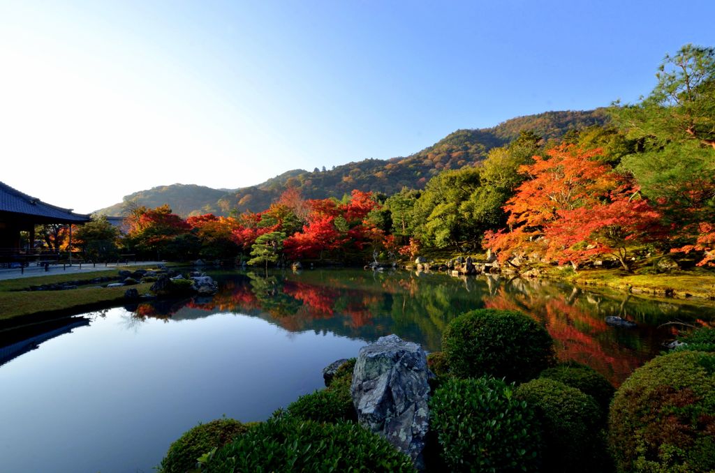紅洛巡礼【天龍寺】