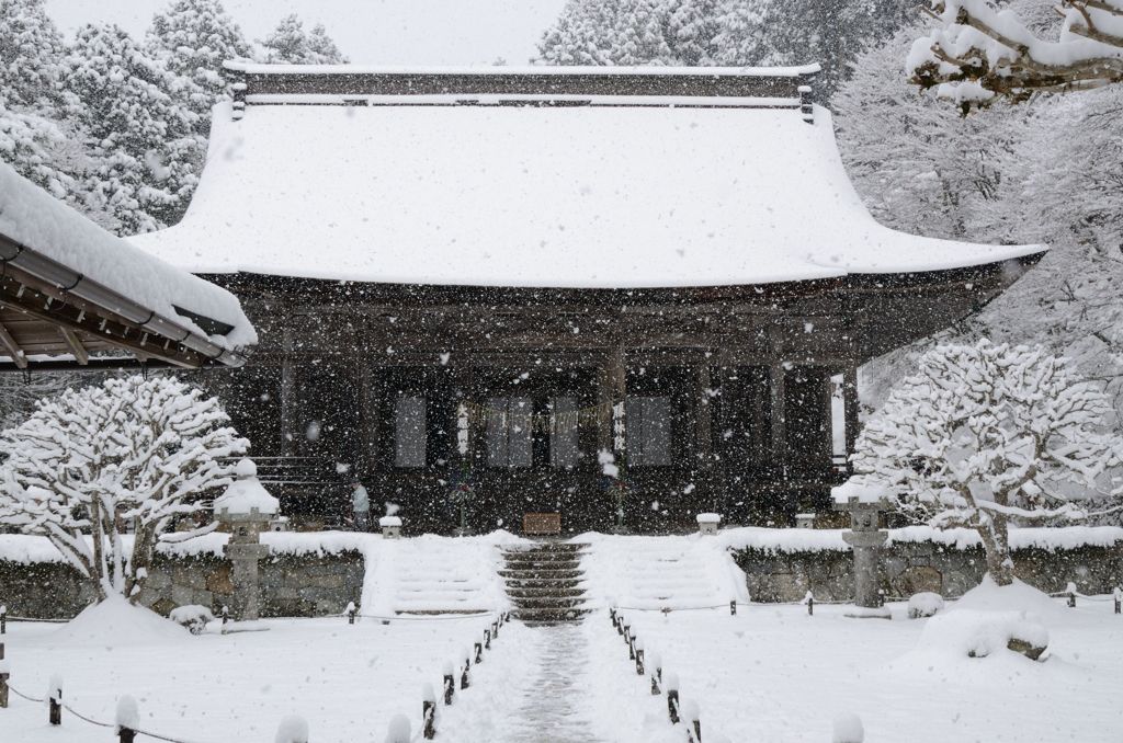 そうだ京都を写そう！勝林院