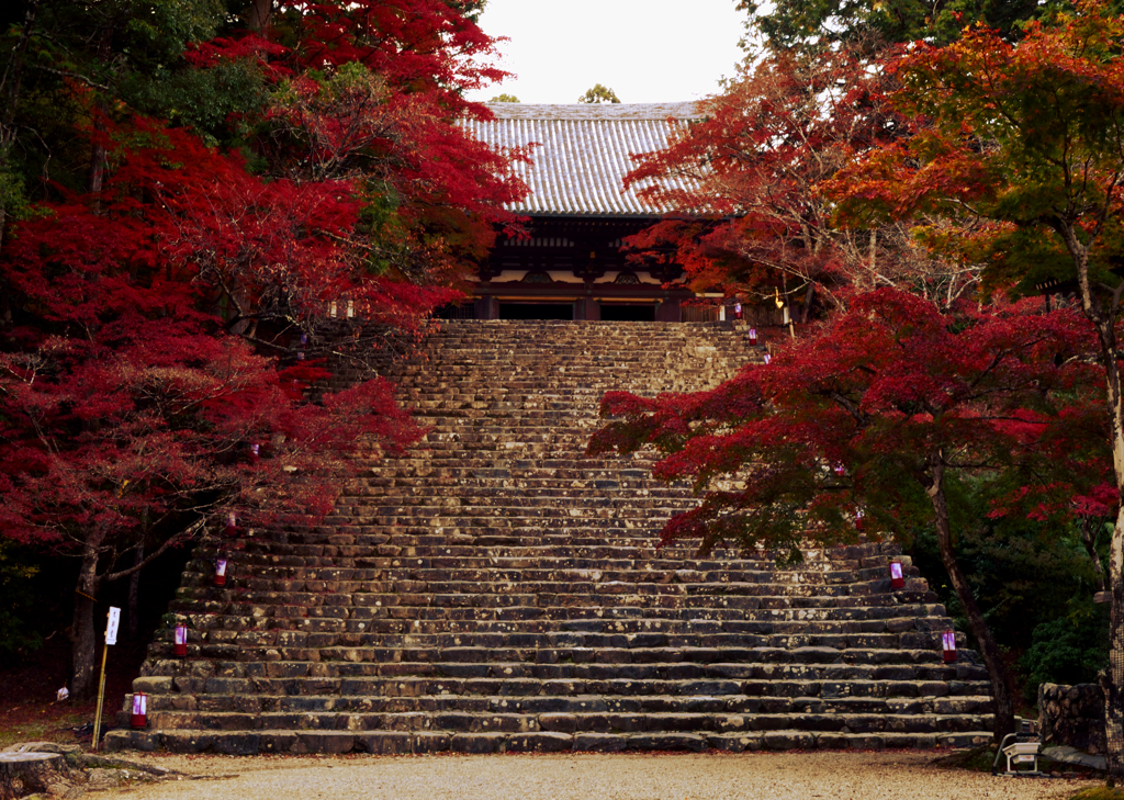 洛秋の宴【神護寺　その１】