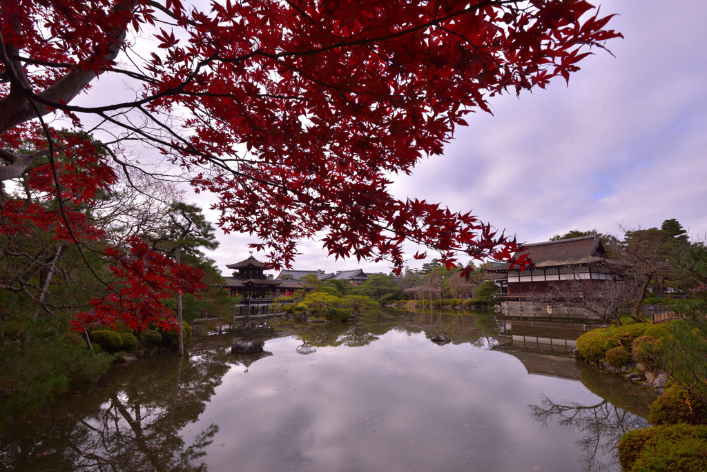 平安の秋苑【平安神宮・東神苑】