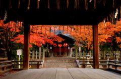 竹中稲荷神社の紅葉