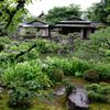 水無月（6月）の花・両足院４