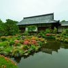 等持院・皐月５