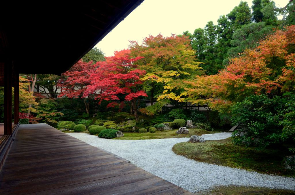 秋の泉涌寺２