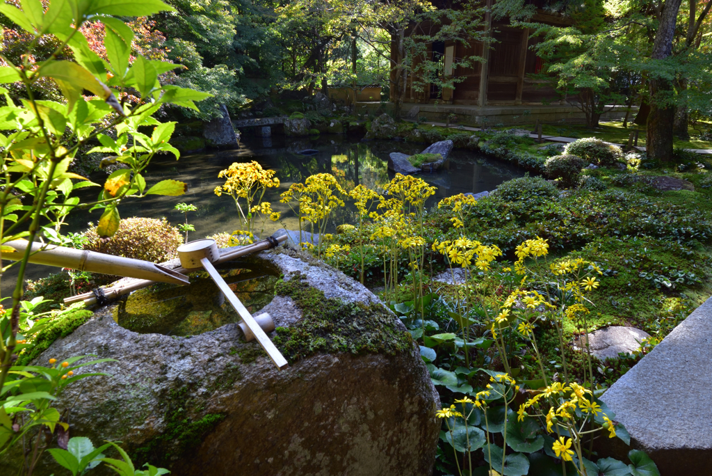 謙譲の美徳【蓮華寺】