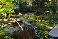 謙譲の美徳【蓮華寺】