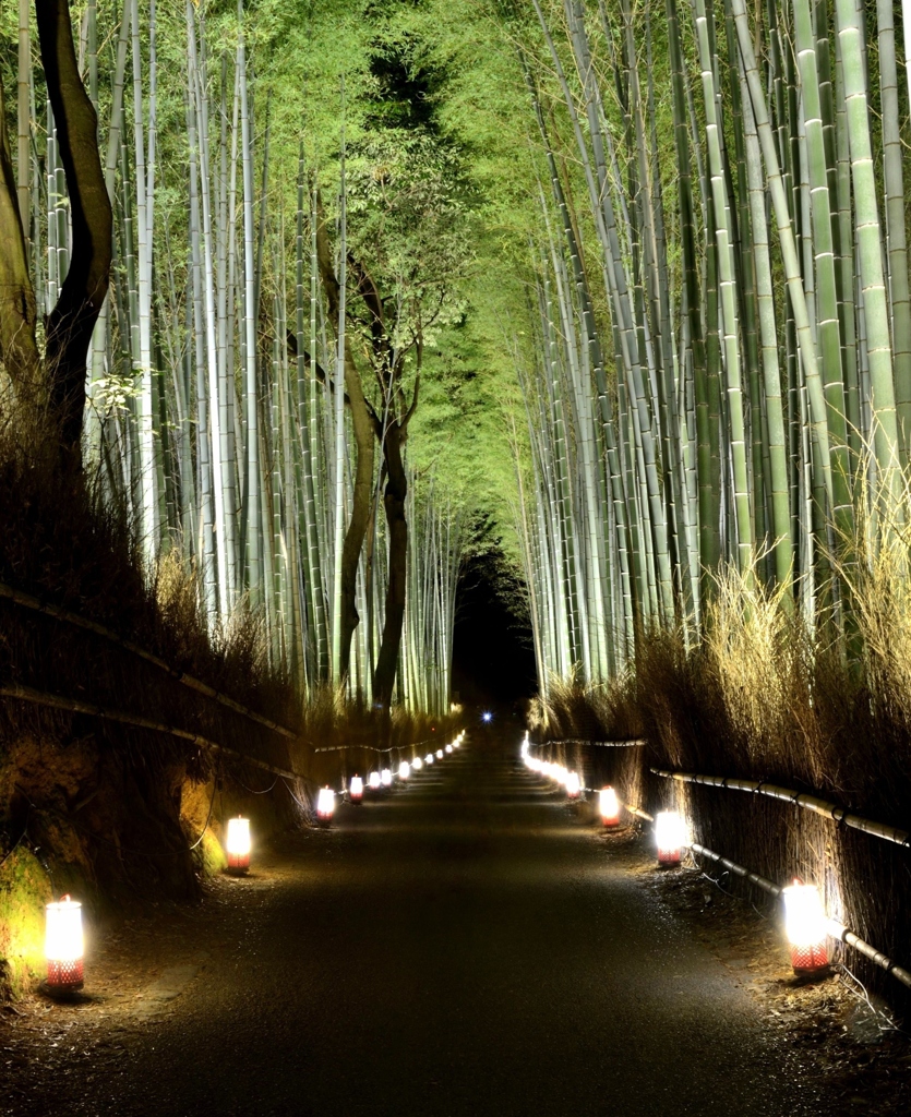 竹林の道標（嵐山花灯篭２０１３）
