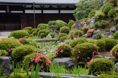 初夏の東福寺５