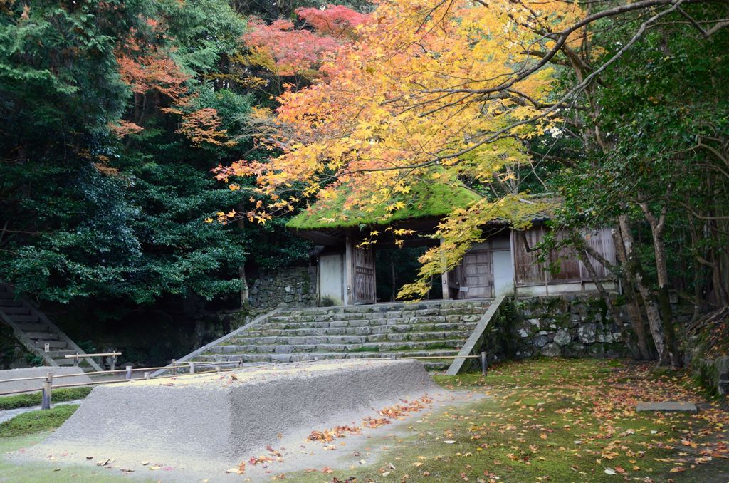 そうだ京都を写そう！法然院４