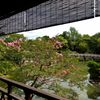 九条池の眺め