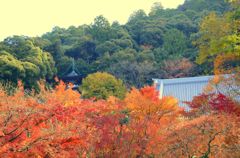 そうだ京都を写そう！永観堂８