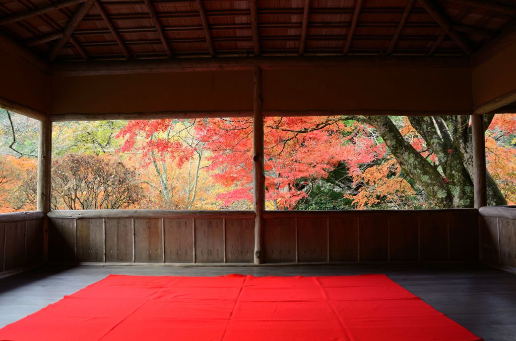 そうだ京都を写そう！白龍園５