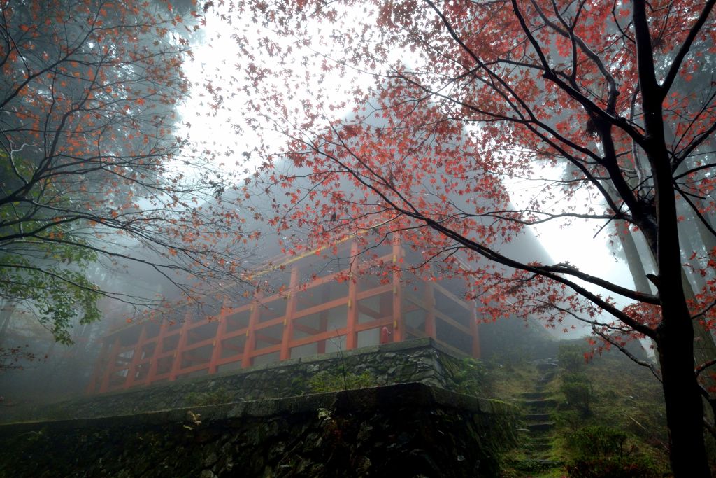 比叡の白秋【延暦寺・横川中堂】