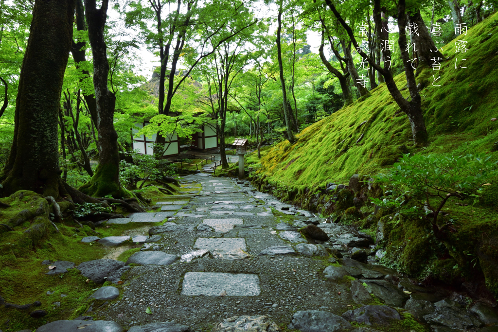 写洛一首【常寂光寺】