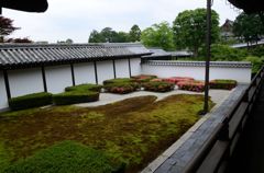 初夏の東福寺