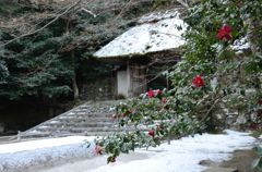 そうだ京都を写そう！法然院４