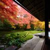 紅洛巡礼【瑠璃光院】