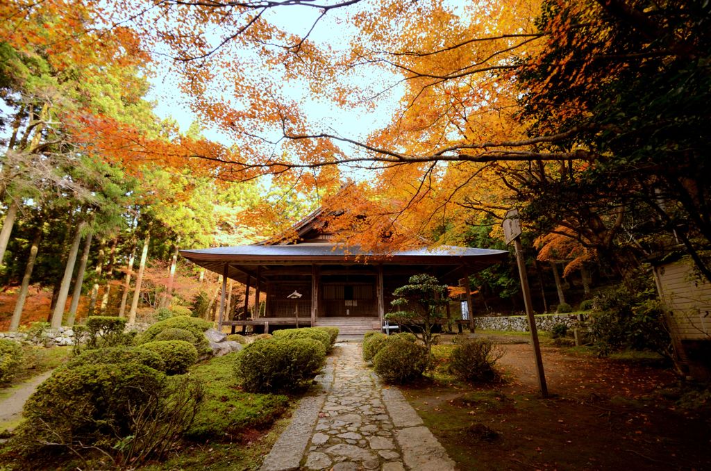 大原・来迎院の紅葉