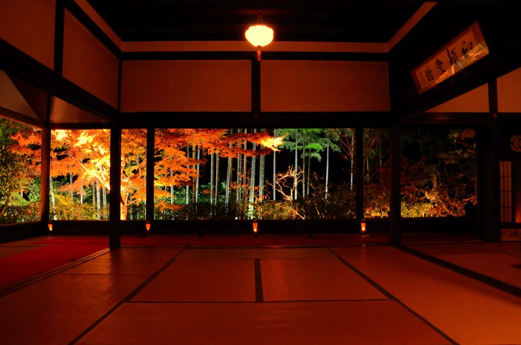 去年の京紅葉６